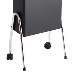 Highland 1570 Ionic Professional Salon Hair Dryer